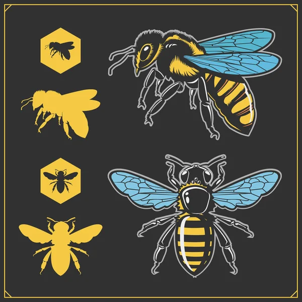 Instellen Van Honing Emblemen Ontwerpelementen Honingraten Bee Silhouetten — Stockvector