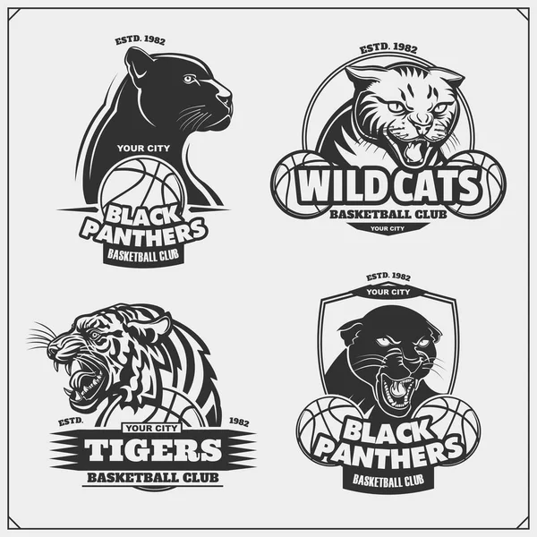 Conjunto Emblemas Insignias Logotipos Etiquetas Baloncesto Con Tigre Pantera Gato — Vector de stock