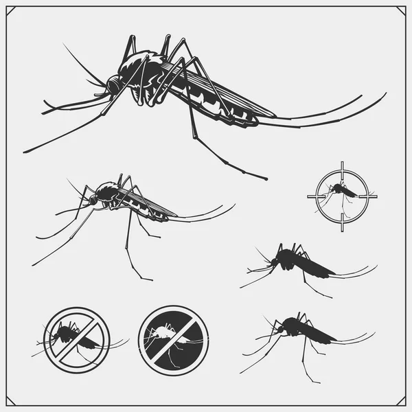 Conjunto Vectorial Siluetas Mosquitos Aisladas Sobre Fondo Blanco Insignias Mosquitos — Archivo Imágenes Vectoriales