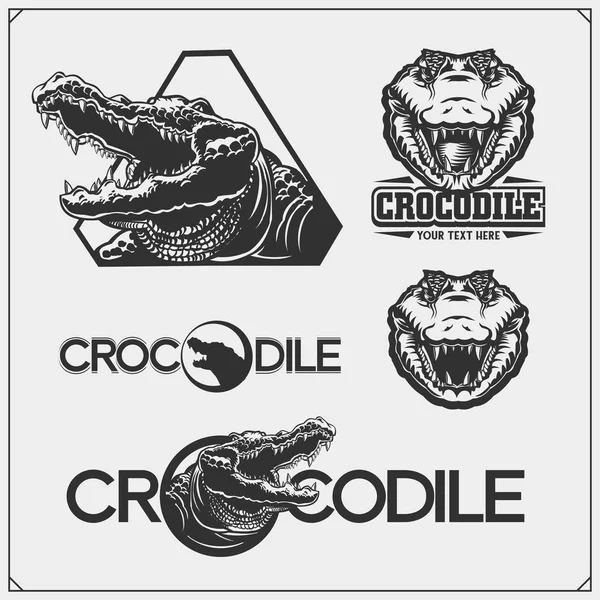 Emblemas Com Crocodilo Para Uma Equipa Desportiva Etiquetas Crocodilo Emblemas —  Vetores de Stock