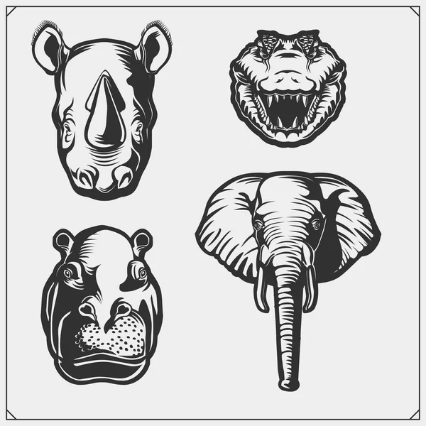Conjunto Animales Africanos Selva Cocodrilo Hipopótamo Elefante Rinoceronte — Vector de stock