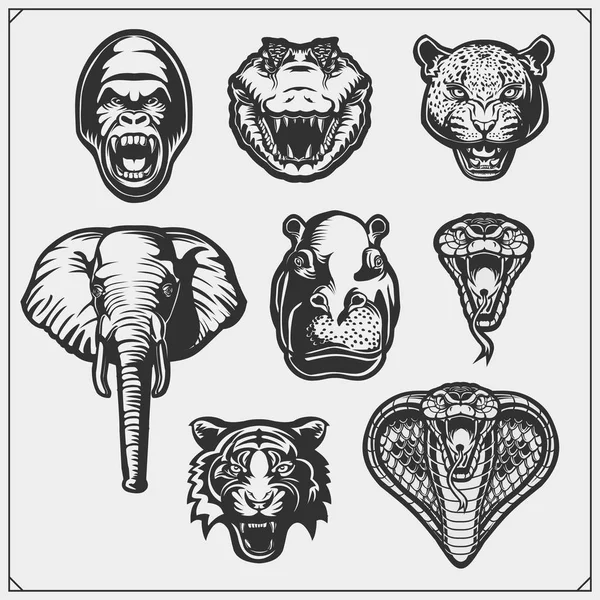Set Wild Animals Animals Desert Africa Jungle — Stock Vector