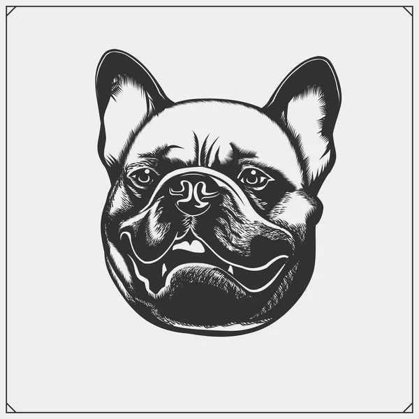 Cute Friendly French Bulldog Portrait Emblem Pets Shop Print Design — Stock Vector