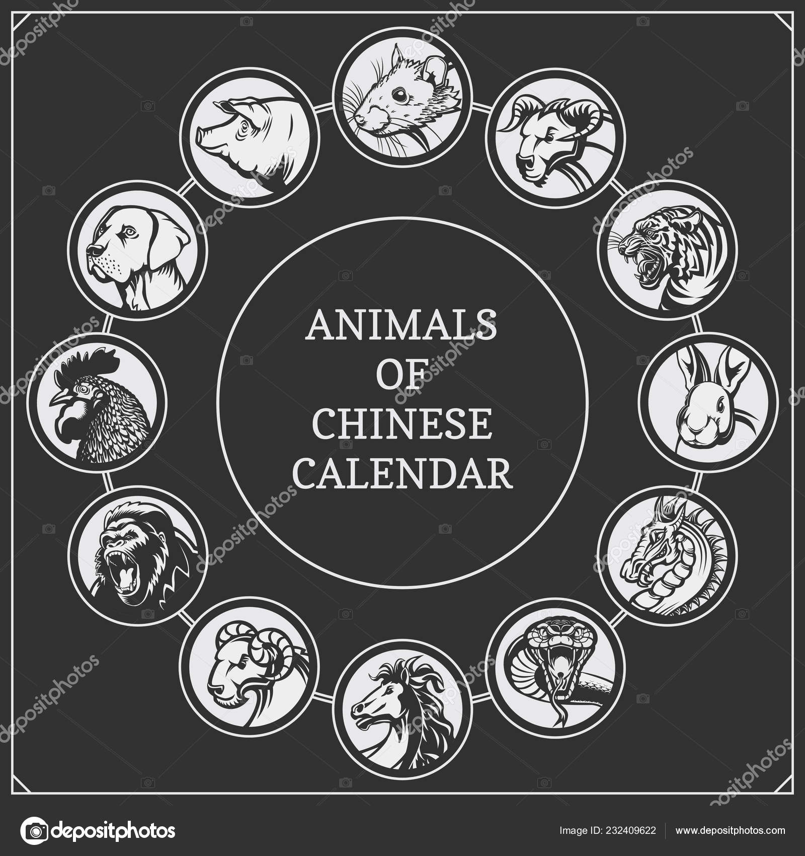 Chinese Years Zodiac Calendar Animals Pig Rat Bull Tiger Rabbit Stock