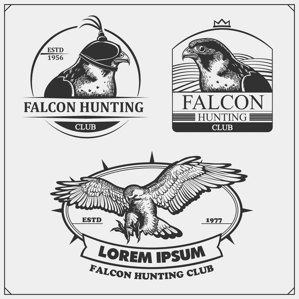 Falcon Heráldica Escudo Armas Etiquetas Emblemas Elementos Diseño Para Club — Vector de stock