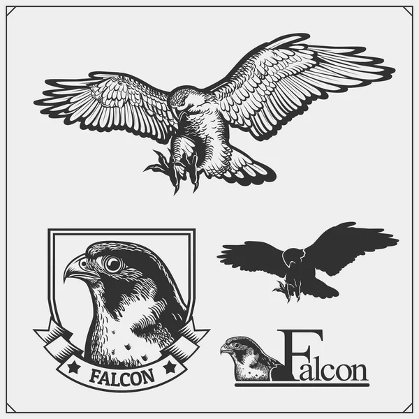 Falcon Emblemen Ontwerpelementen Voor Sportclub Print Ontwerp Voor Shirts — Stockvector