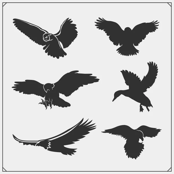 Set Bird Silhouettes Raven Eagle Owl Falcon Hawk Duck Print — Stock Vector