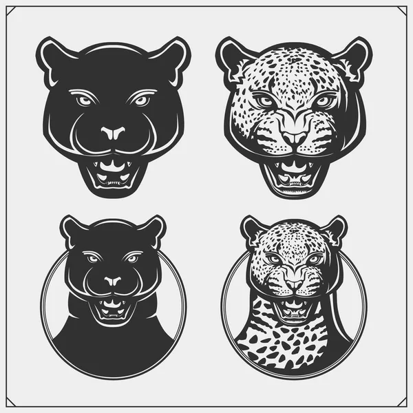 Los Emblemas Con Pantera Leopardo Para Equipo Deportivo Diseño Para — Vector de stock