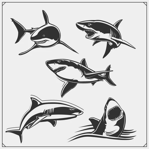 Köpekbalığı Siluetleri Kümesi Shirtler Için Baskı Tasarımı — Stok Vektör