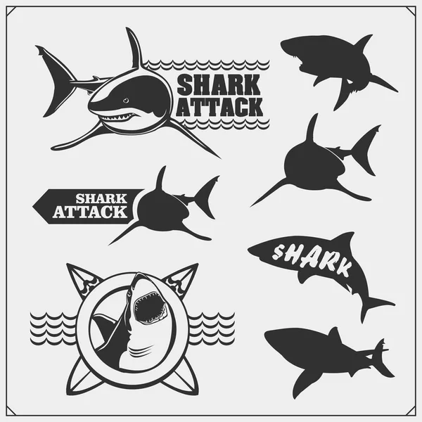 Conjunto Emblemas Surf Con Tiburón Elementos Diseño Surf Diseño Impresión — Vector de stock