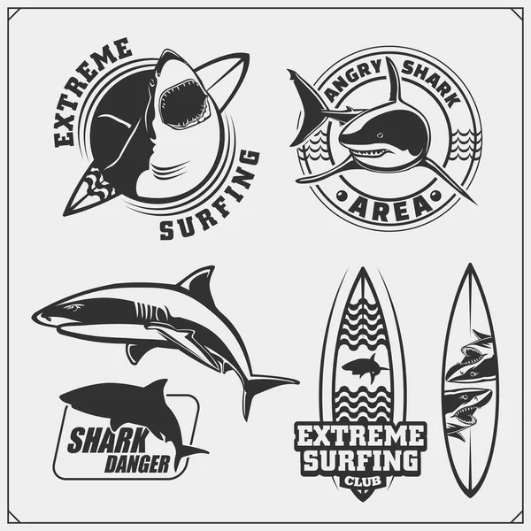 Conjunto Emblemas Surf Con Tiburón Elementos Diseño Surf Diseño Impresión — Archivo Imágenes Vectoriales