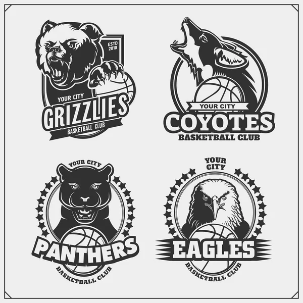 Basketbal Odznaky Štítky Prvky Návrhu Sportovní Klub Emblémy Medvěd Grizzly — Stockový vektor