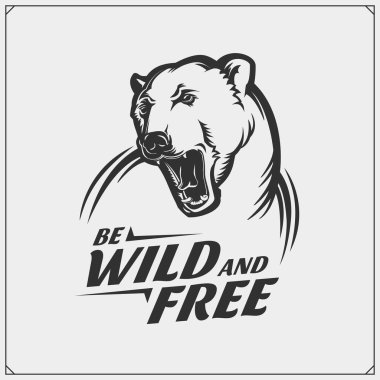 Kutup ayısı ile spor kulübü amblemi. T-shirt için baskı tasarımı.