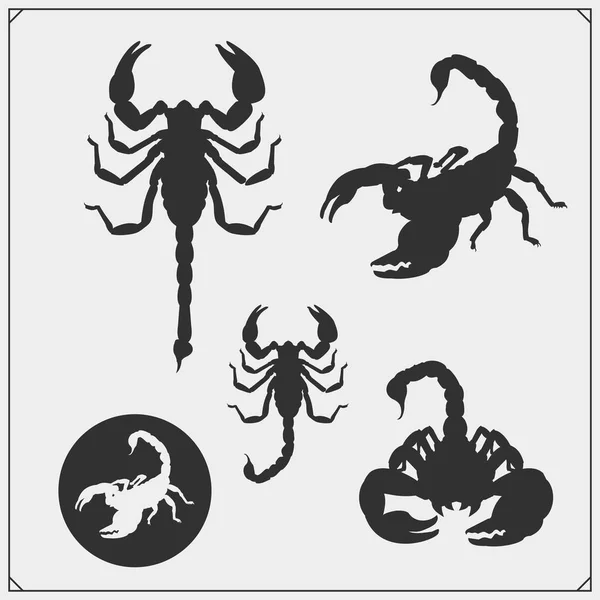 Des Silhouettes Scorpion Scorpions Emblèmes Icônes Conception Impression Pour Shirt — Image vectorielle