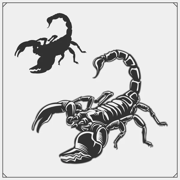 Silhuetas Escorpião Escorpiões Emblemas Ícones Design Impressão Para Shirt Desenho —  Vetores de Stock