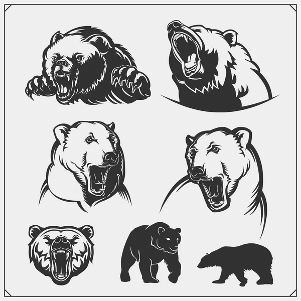 Grizzly Bear Polar Bear Brown Bear Silhouettes Illustrations Labels Emblems — Stock Vector