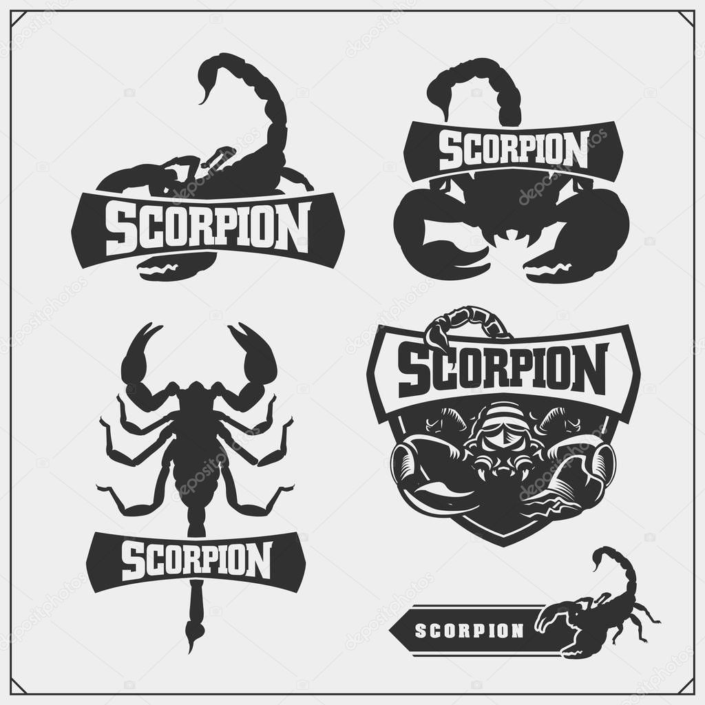 Scorpions emblems, labels, logos and design elements. Silhouettes of a scorpion. Print design for t-shirt. Tattoo design. Sport club emblems.