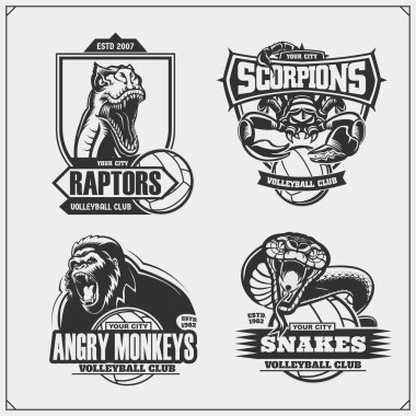 Voleybol rozetleri, etiketler ve tasarım elemanları. Goril, kobra, raptor dinozor ve akrep ile spor kulübü amblemleri. T-shirt için baskı tasarımı.