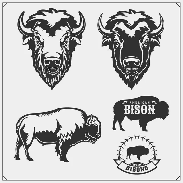 Conjunto Silhuetas Vetoriais Bison Ilustração Design Impressão Para Shirt Modelo —  Vetores de Stock