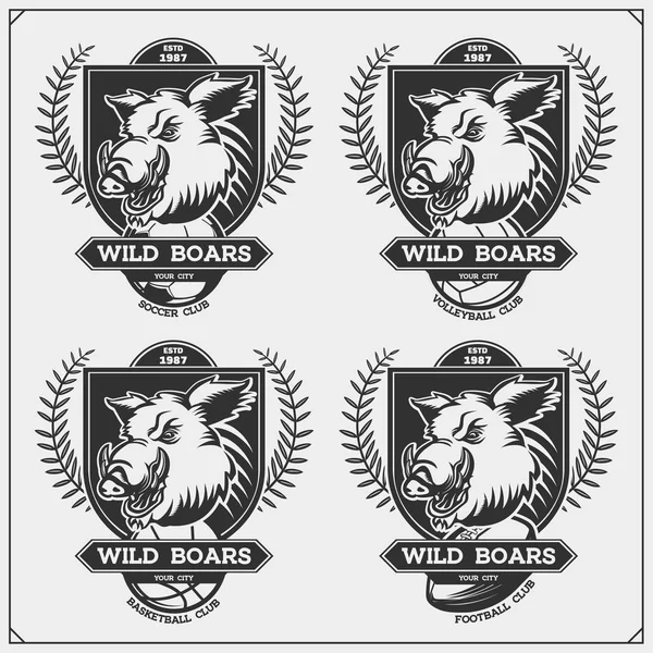 Logos Étiquettes Volley Ball Basket Ball Soccer Football Emblèmes Clubs — Image vectorielle