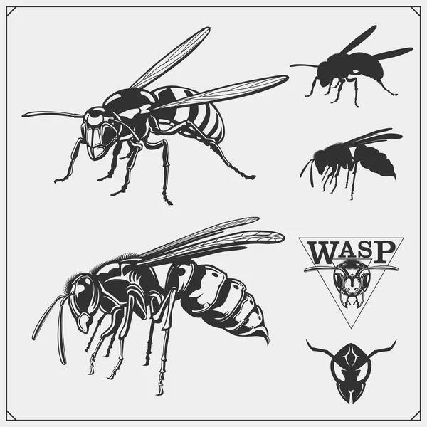 一组黄蜂标签 图标和设计元素 危险的刺痛昆虫收集 体育俱乐部标志 恤的打印设计 — 图库矢量图片