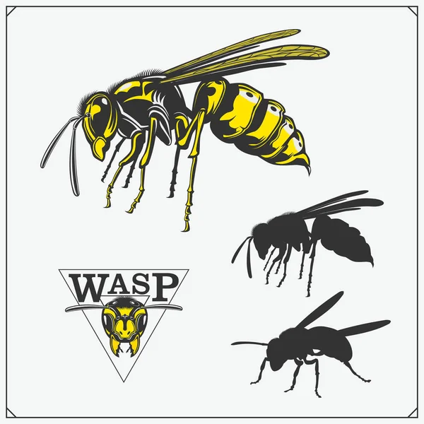 Conjunto Etiquetas Wasp Crachás Ícones Elementos Design Coleção Insetos Picantes — Vetor de Stock