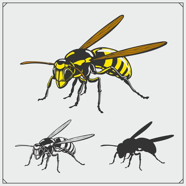 一套黄蜂插图和剪影 危险的刺痛昆虫收集 恤的打印设计 — 图库矢量图片