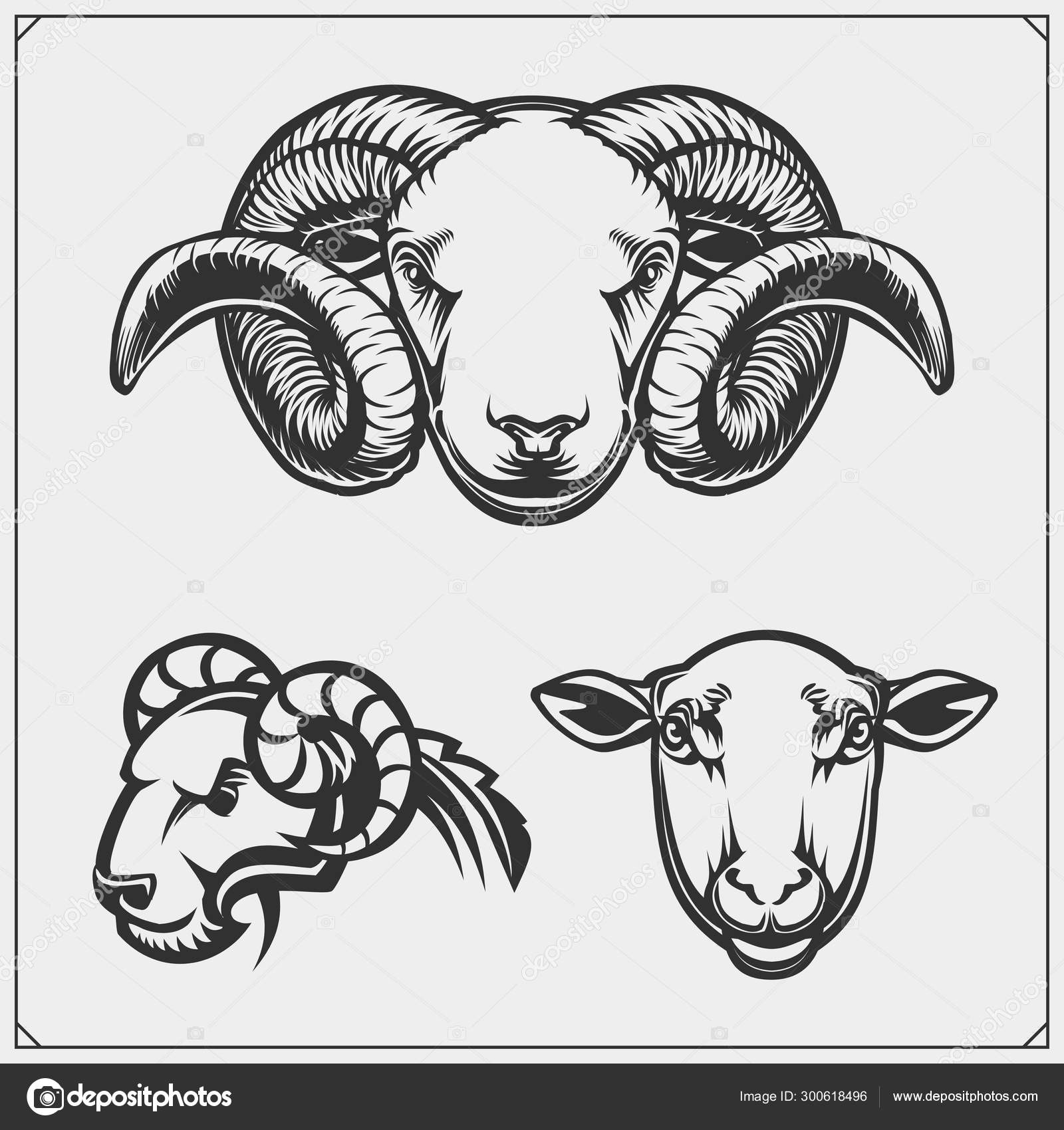 Silhouettes Farm Animals Sheep Ram Template Meat Market Store Market Stock Vector Image by ©malashkos #300618496 Silhouettes Farm Animals Sheep Ram Template Meat Market Store Market Stock Vector Image by ©malashkos #300618496