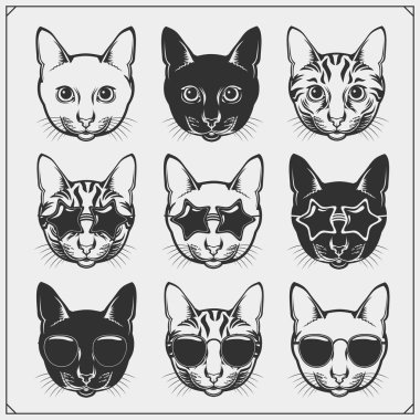 Sevimli tatil kedileri koleksiyonu. Tebrik kartı tasarımı, t-shirt için baskı tasarımı, evcil hayvan dükkanı logosu için şablon.