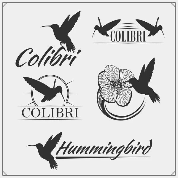 Hummingbird Colibri Silhuetas Pássaros Logotipos Emblemas Elementos Design —  Vetores de Stock