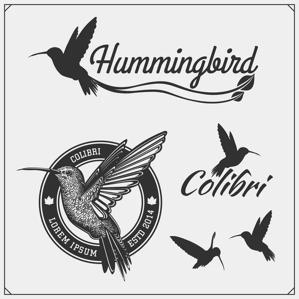 Hummingbird Colibri Ptak Sylwetki Loga Emblematy Elementy Konstrukcyjne — Wektor stockowy