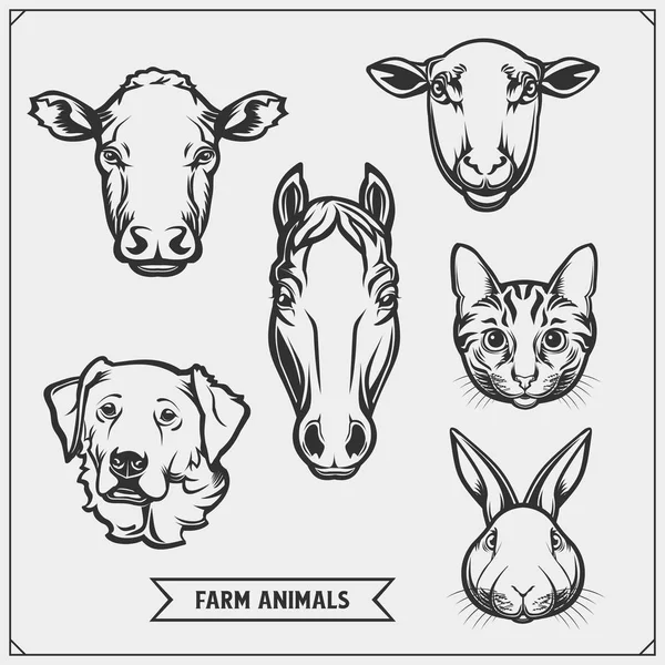 Conjunto Animales Granja Mascotas Plantilla Para Mercado Carne Tienda Mercado — Vector de stock