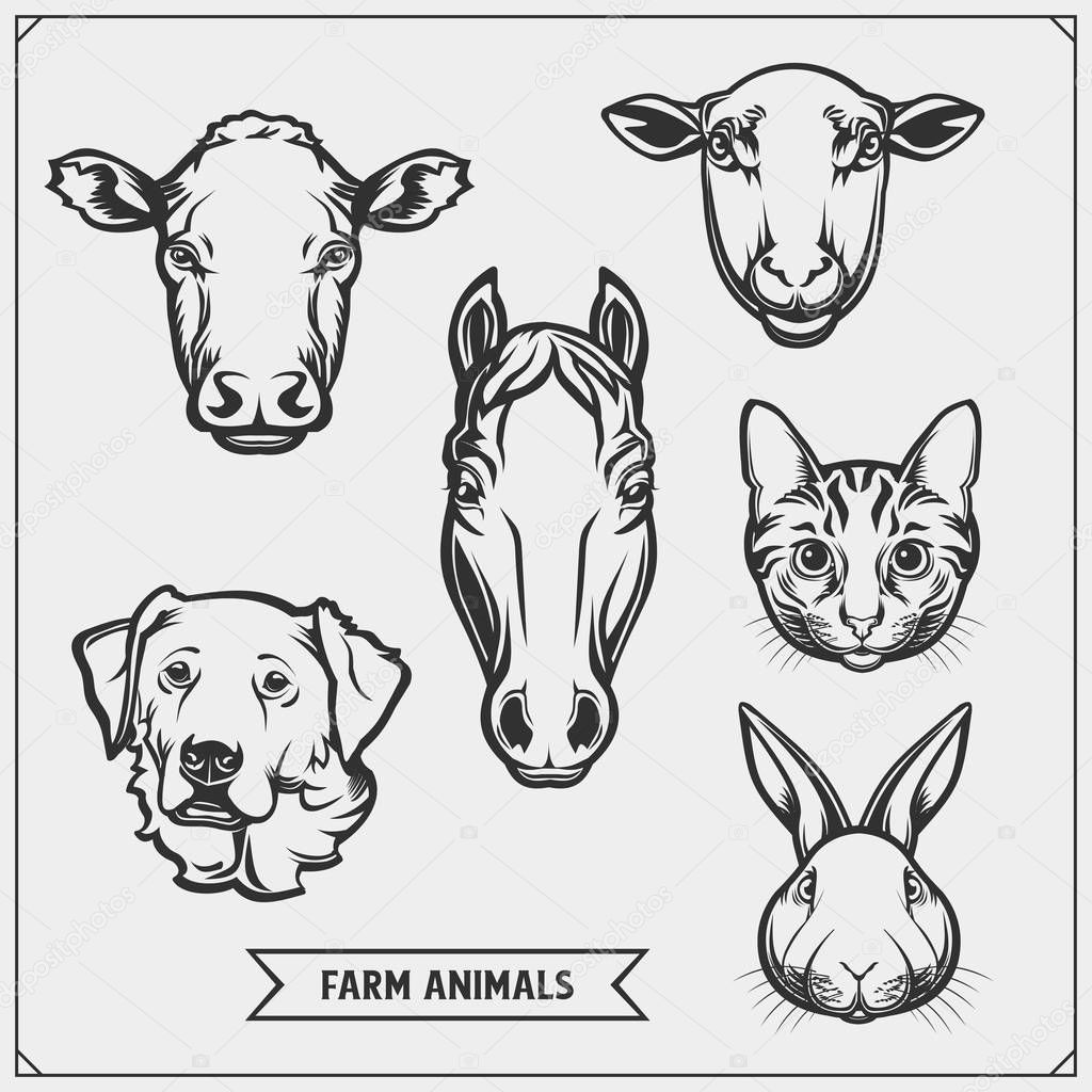 Set of farm animals and pets. Template for meat market, store, market and packaging.