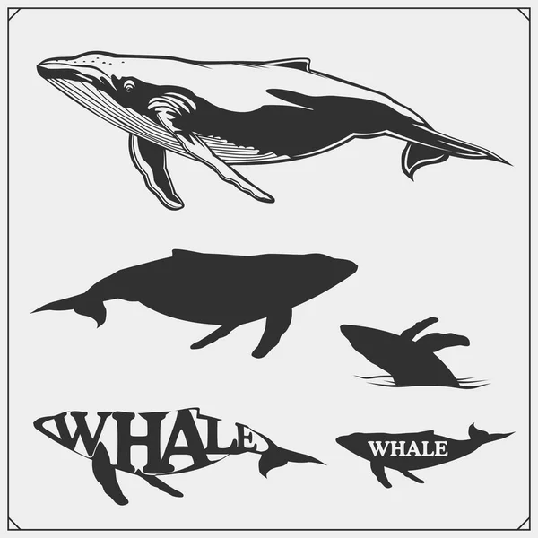 Ilustración Vectorial Siluetas Hermosas Ballenas Diseño Emblemas Ecológicos — Vector de stock