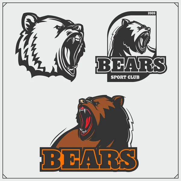 Symbole Klubu Sportowego Głową Niedźwiedzia Projekt Nadruku Koszulki — Wektor stockowy