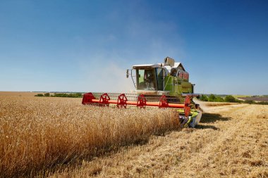 Tarafından alan buğday hasat birleştirmek