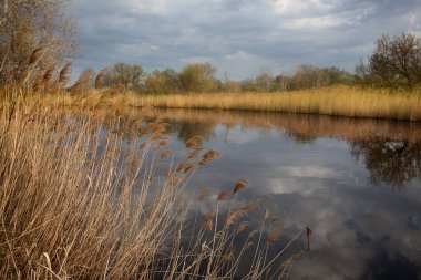 Baharda ile nehir manzara