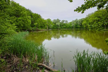 * * * * * * * * * * * * * * * * * * * * * * Çeviri: mjöllnir Çeviri: nazo82 Shagrathian