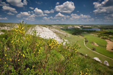 Manzara. Bahar sarı kır çiçekleri ile Tepeler. 