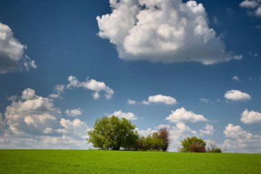 ������������ �� ��������. ������. ������������������������������