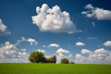 ������������ �� ��������. ������. ������������������������������