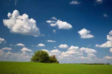 ������������ �� ��������. ������. ������������������������������