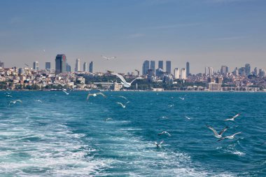 Tekne, deniz, martılar ve İstanbul şehri