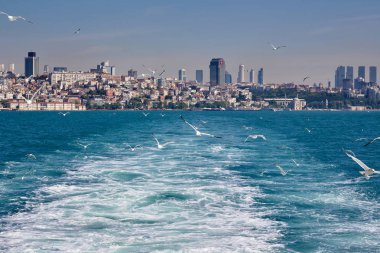Tekne, deniz, martılar ve İstanbul şehri