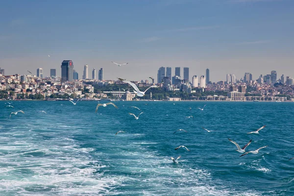 Båt Hav Måsar Och Staden Istanbul — Stockfoto