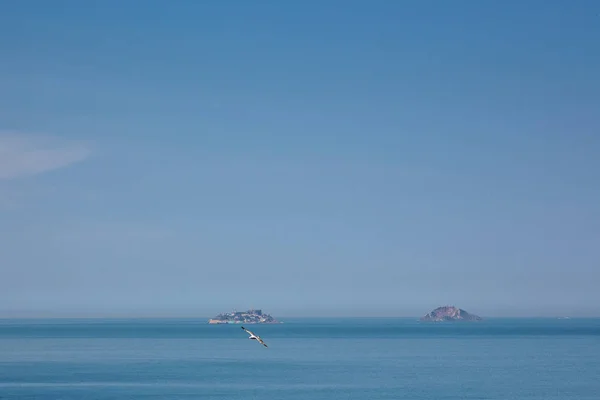 Gaivota, ilhas e mar . — Fotografia de Stock