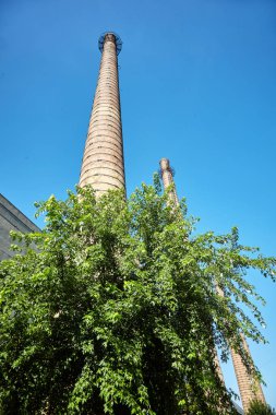 Tuğla bacalar ve ağaçlar. Endüstri, ekoloji.