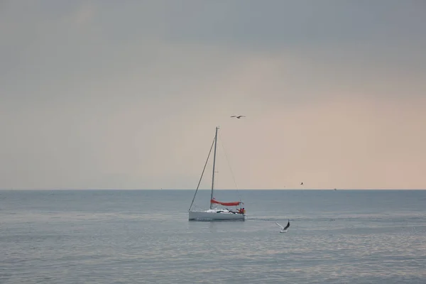 Pequeño Yate Mar Gaviotas — Foto de Stock