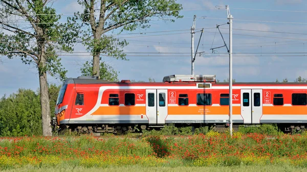 Pociąg Pasażerski Polski Transport Kolejowy — Zdjęcie stockowe