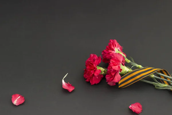 Savaş Zafer Bayramı arka plan 9 Mayıs